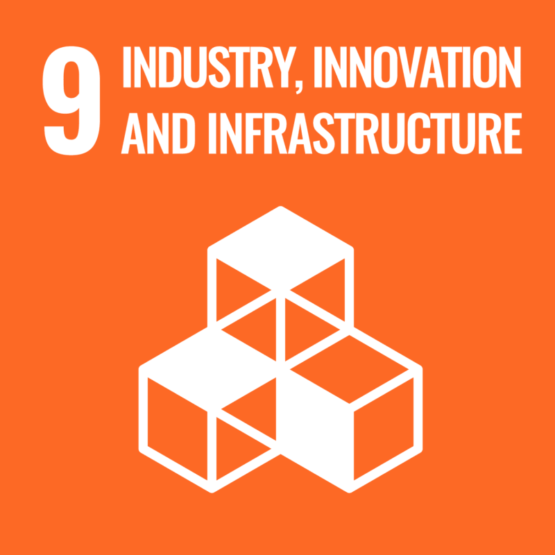 Sustainable Development Goal: Industry, Innovation and Infrastructure
