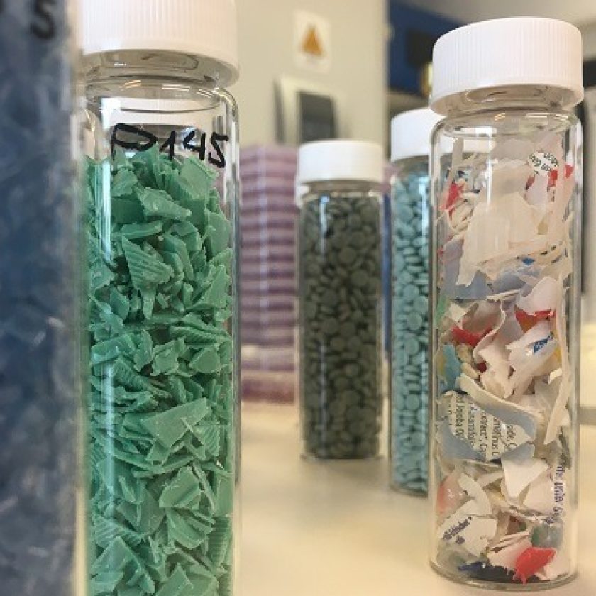 Forschungsprojekt PolyCycle: Weiterentwicklung von In-vitro Bioassays zur Sicherheitsbewertung von recycelten Kunststoffen