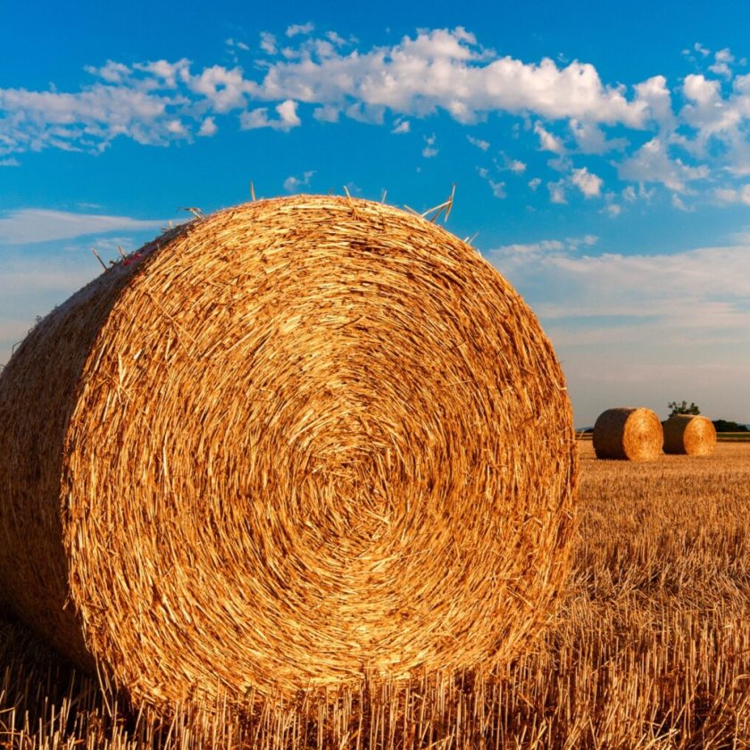 Sujetbild SustainFibres, Strohballen